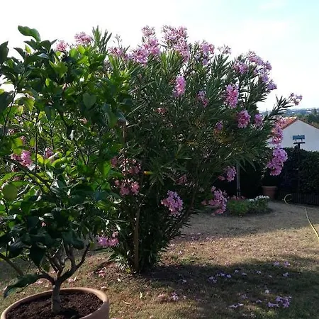 Fortin Anita Et Guy 3*